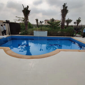 IMG-20221209-WA0053
