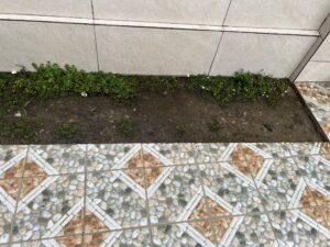 IMG_0403